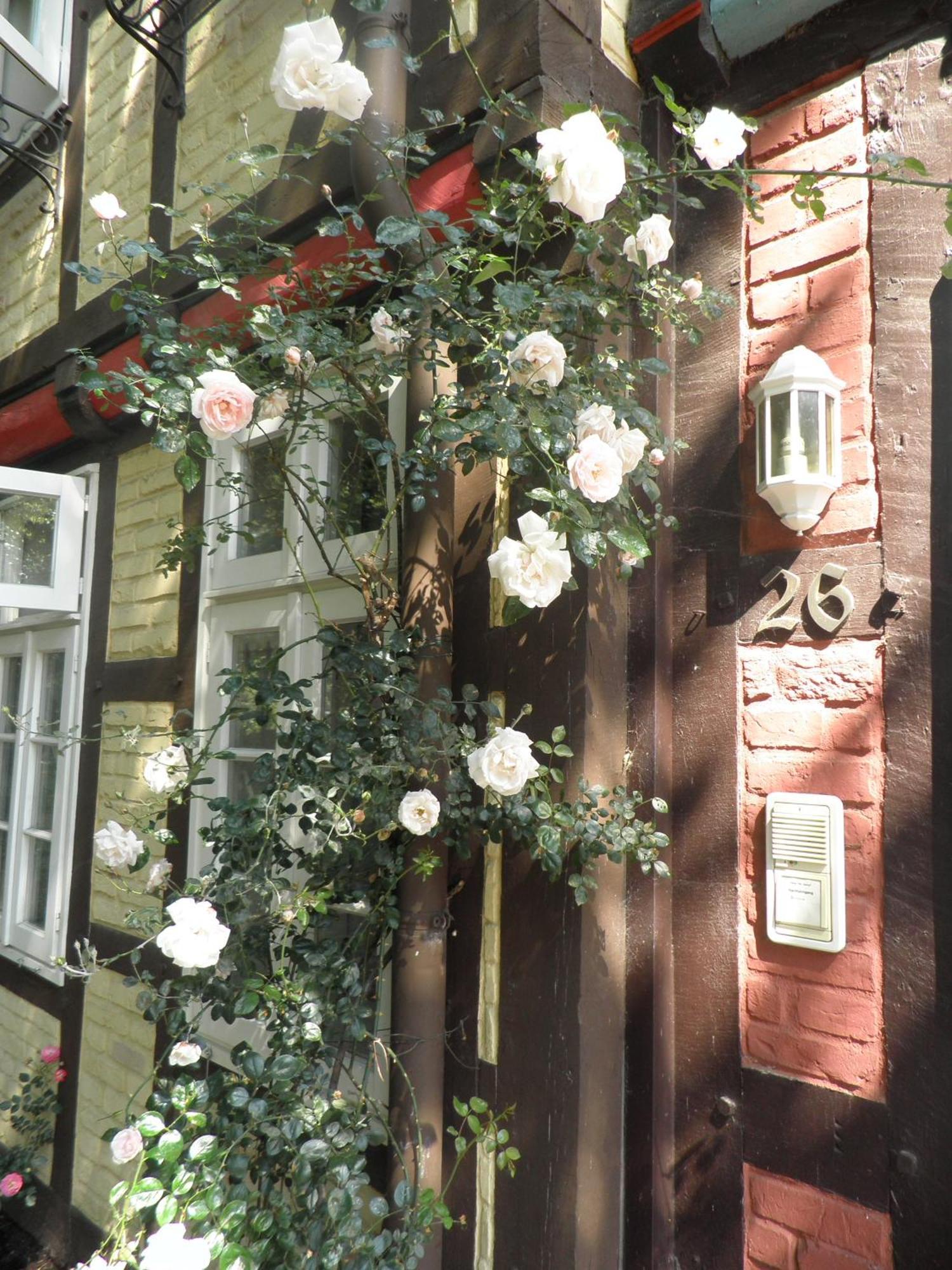 Hotel St. Georg Garni Celle